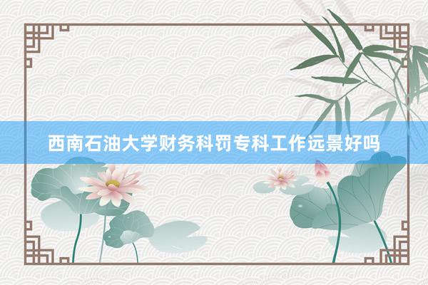 西南石油大学财务科罚专科工作远景好吗